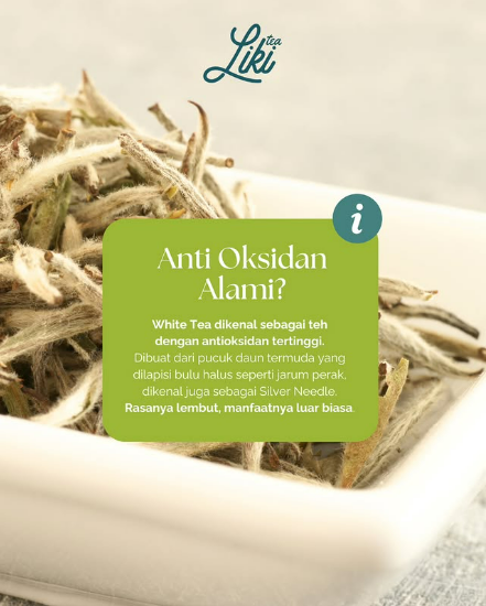 Anti Oksidan Alami